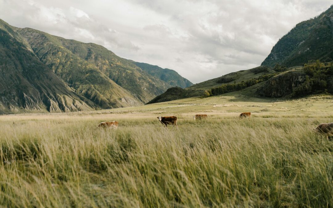 Culture du végétal : Une Fausse écologie