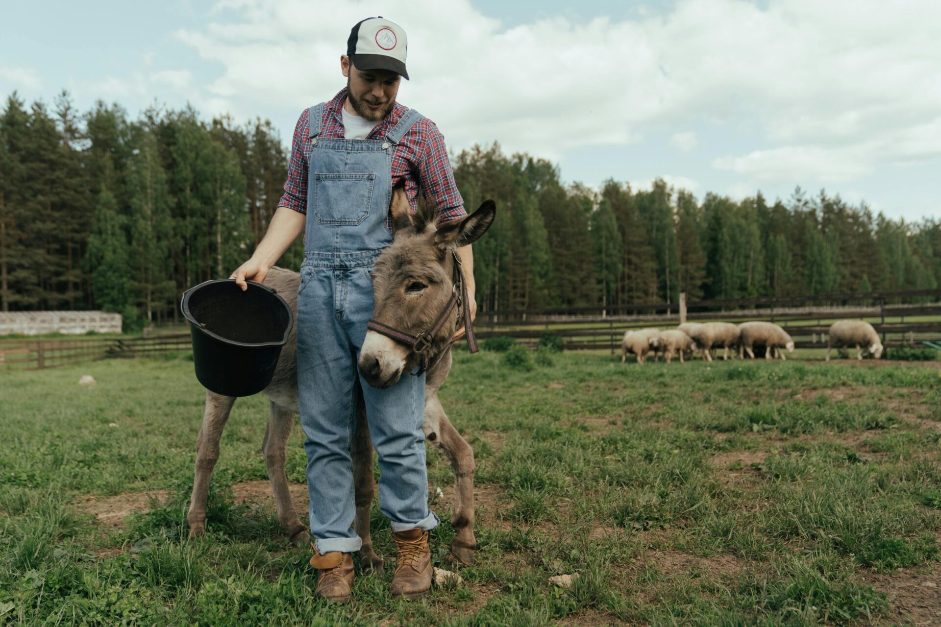 Bien-être animal et eleveur