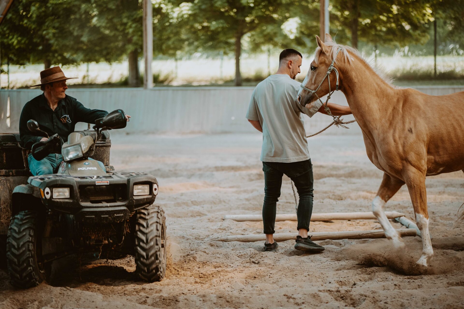 Gestion des émotion chevaux et fleurs de Bach